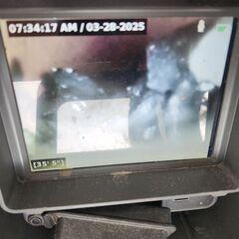 Pin Photo