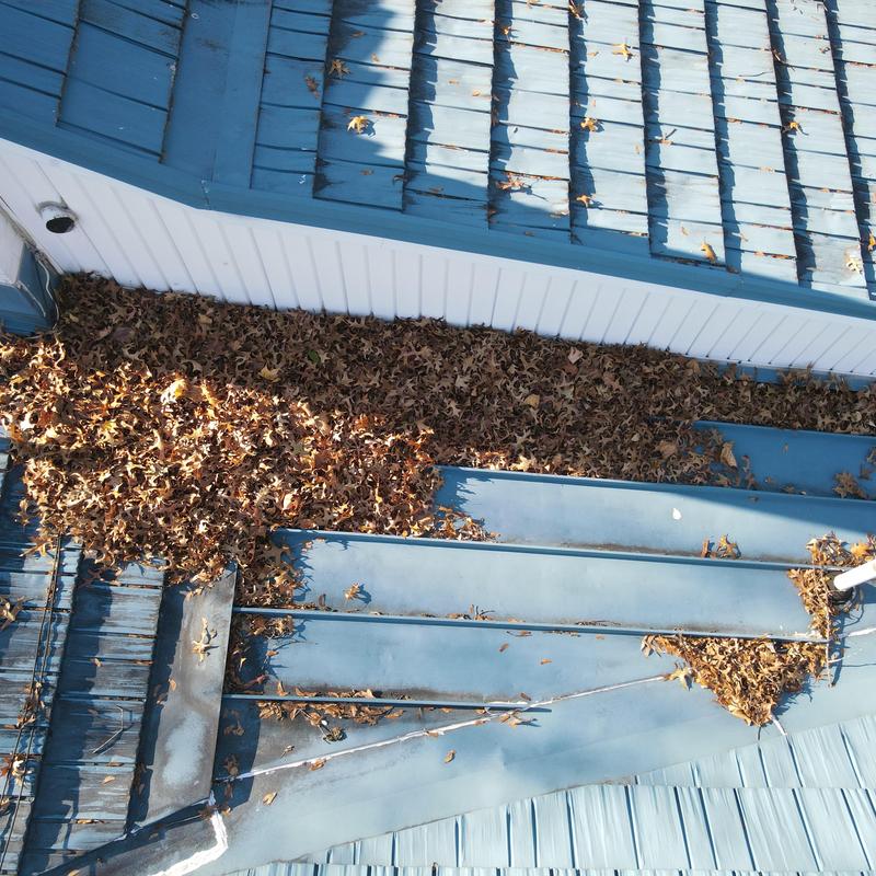 Metal roof with accumulated fallen leaves and debris