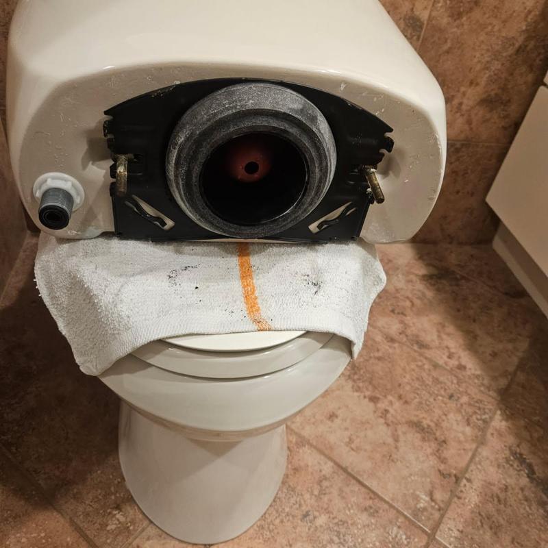 Kohler toilet tank gasket installation in bathroom