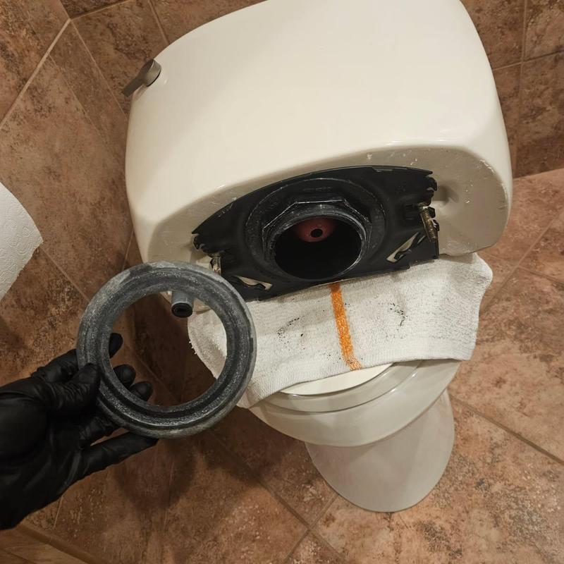 Kohler toilet tank gasket replacement in bathroom