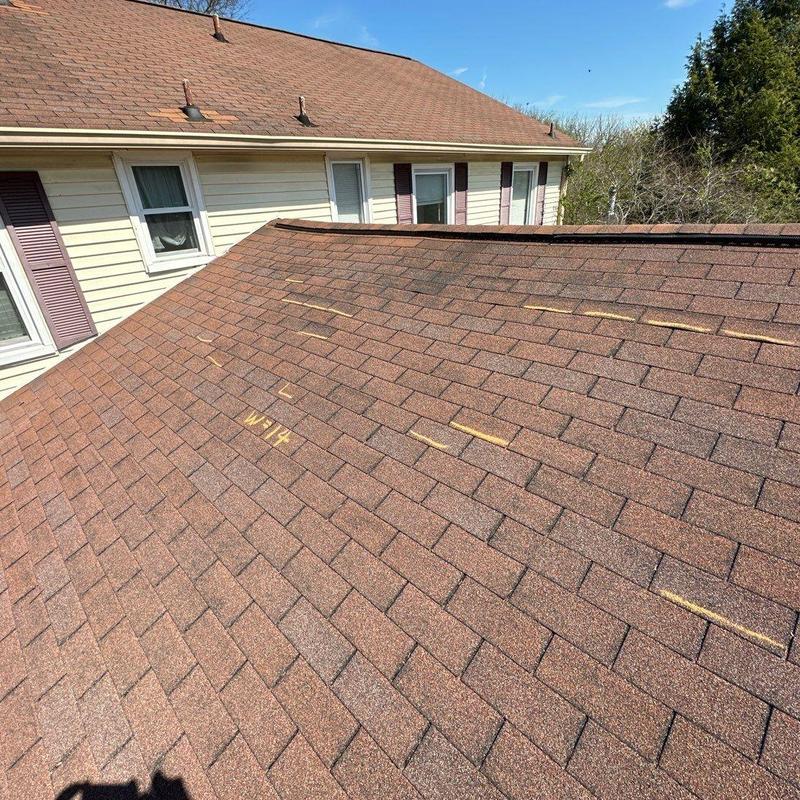 Asphalt shingle roof with hail damage markings
