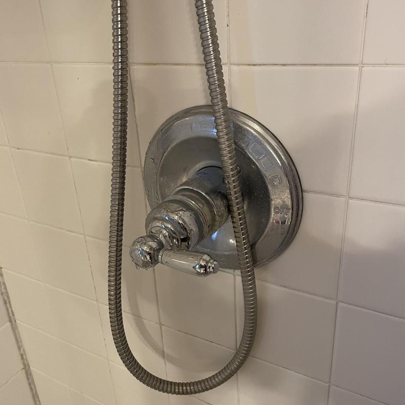 Delta single handle shower valve and hose in guest bath