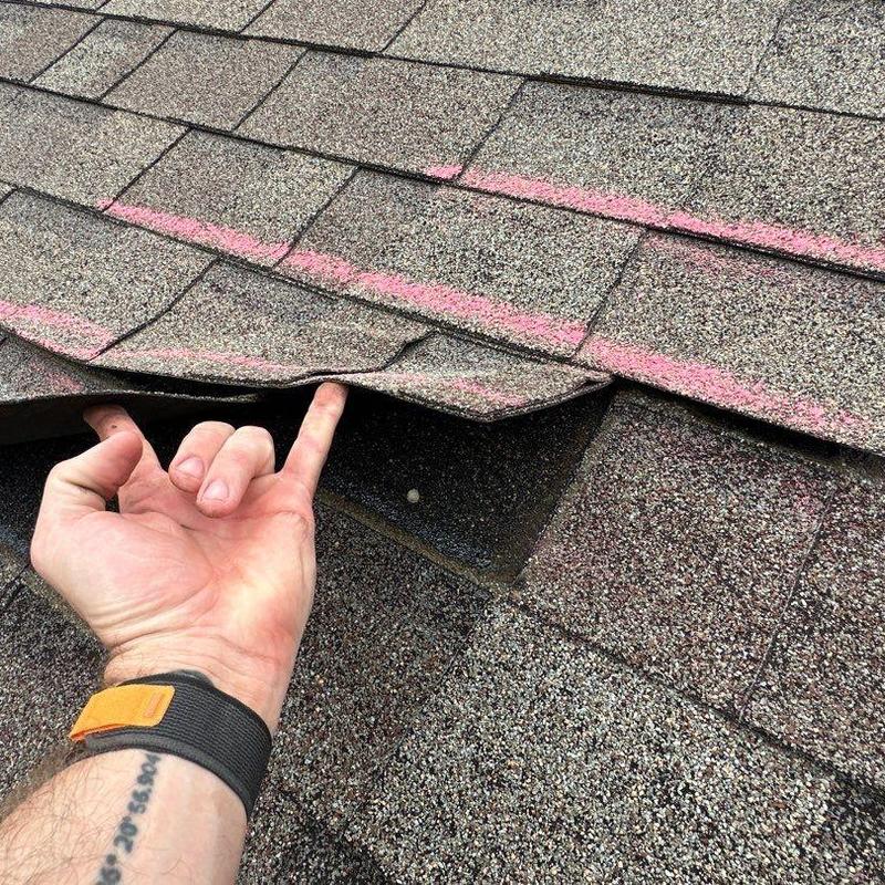 Asphalt roof shingles with lifted damage markings