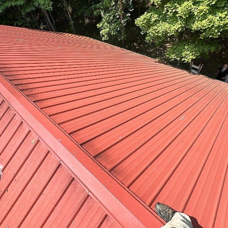 Metal roof panels inspection with nearby ladder and trees