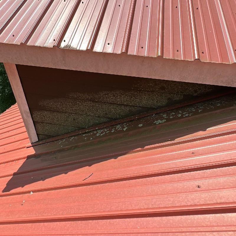 Metal roof panels with rust and loose fasteners
