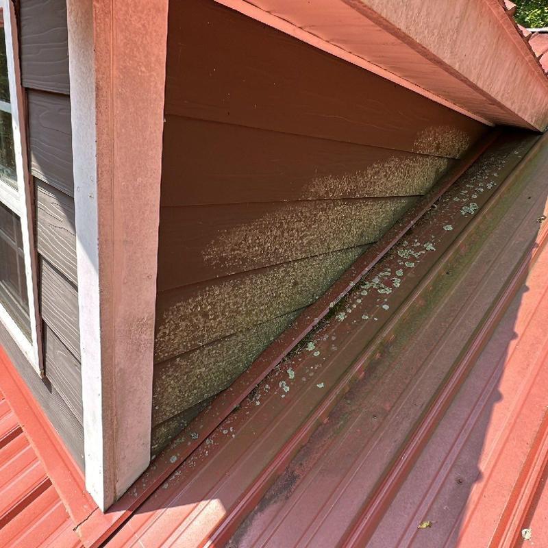 Metal roof with moss and algae growth near siding panel