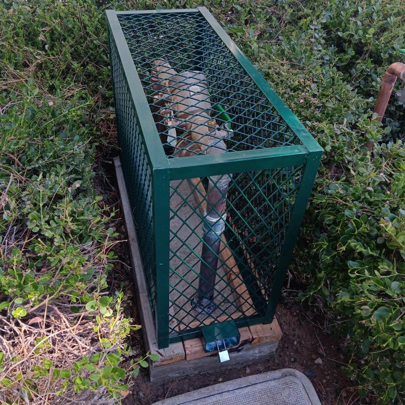 Backflow preventer with green lockable security cage outdoors