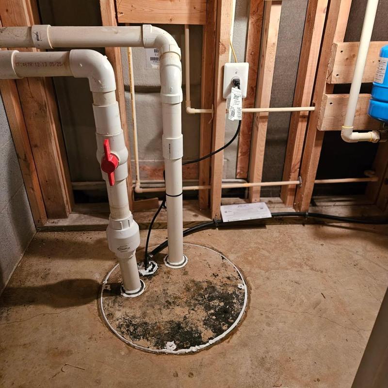 Zoeller sewage ejector pump installation in basement