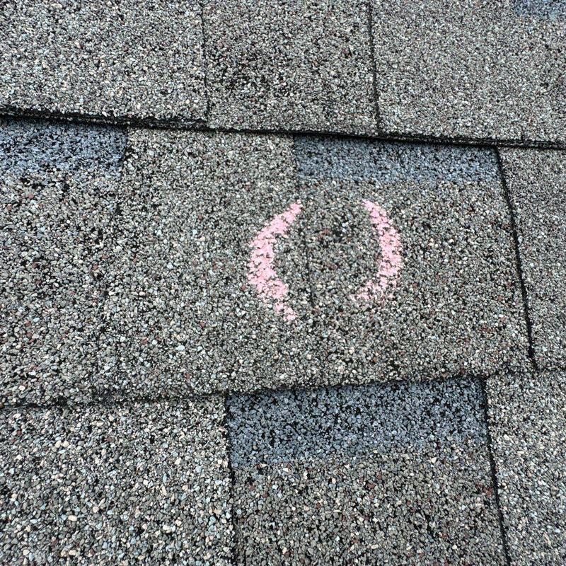 Asphalt roof shingle with storm damage marked in pink