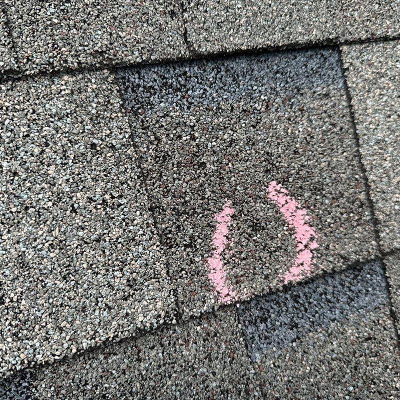 Asphalt roof shingle with hail damage marked in pink