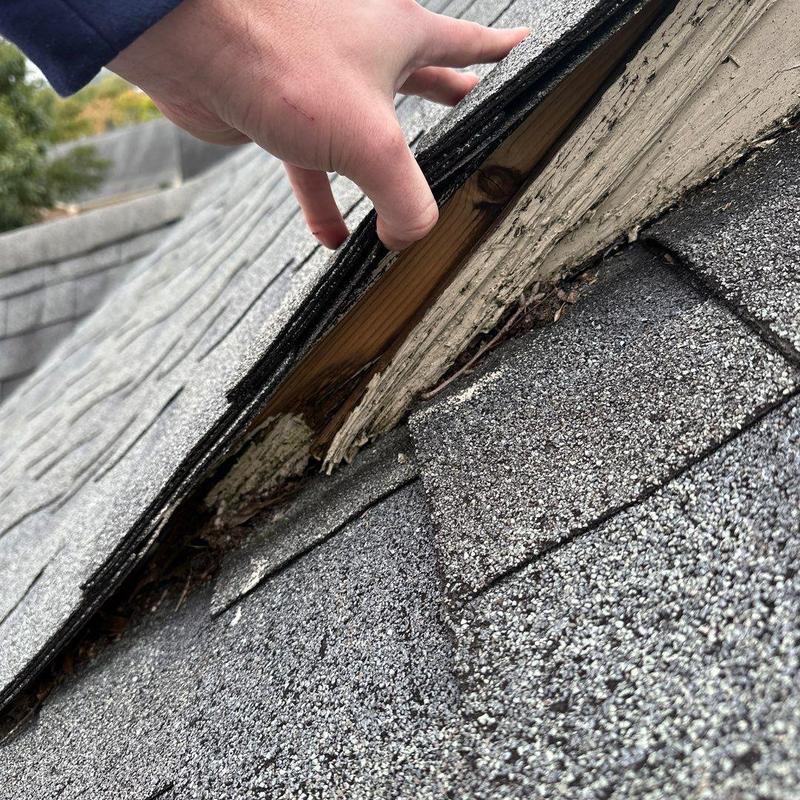 Roof shingles with water damage under lifted section