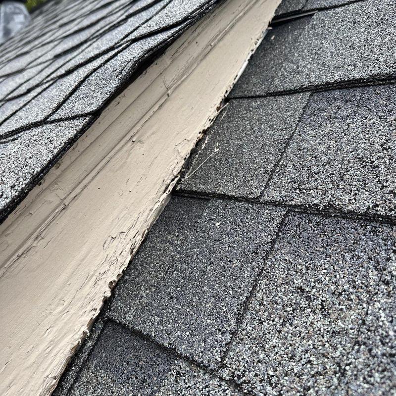 Asphalt roof shingles with hail damage inspection
