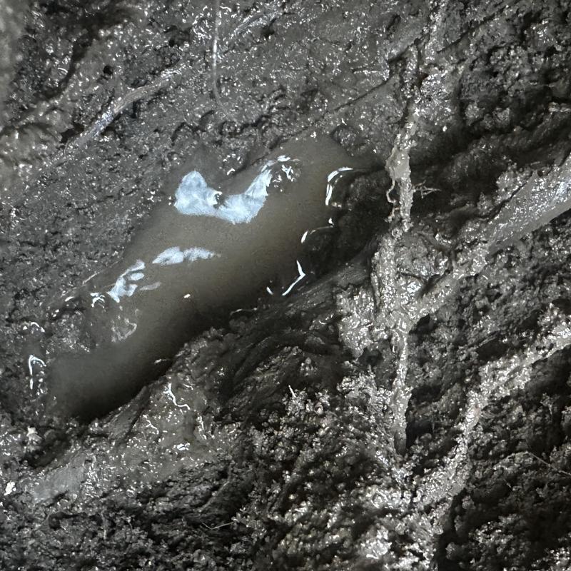 Underground main water line leak in muddy soil