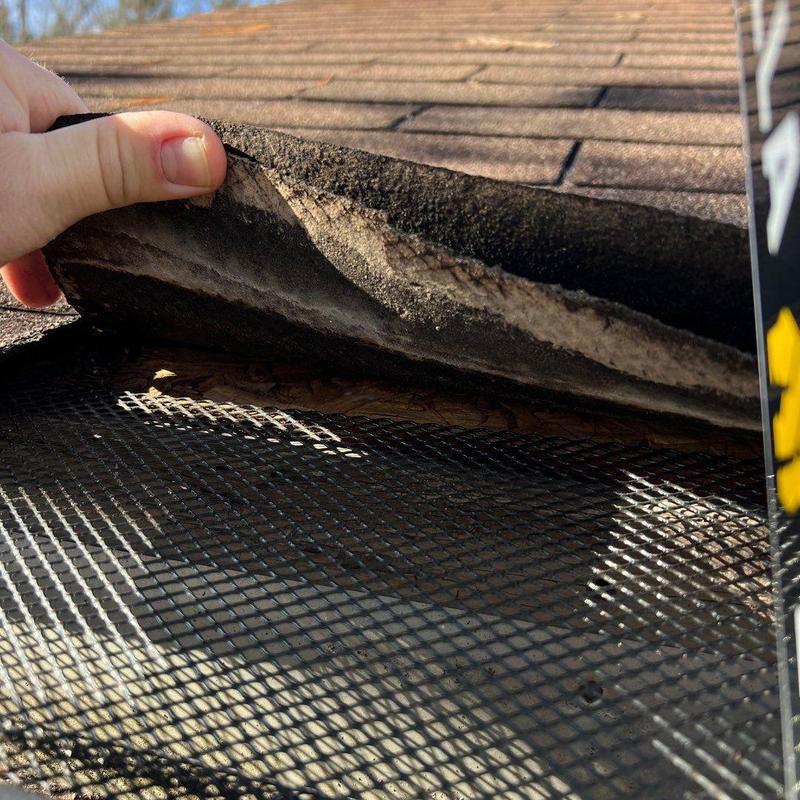 Asphalt shingle roofing lifted to inspect underlayment mesh