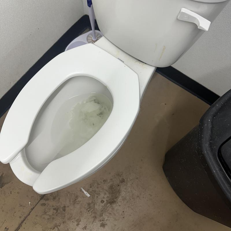 Commercial toilet with partial flushing and water backup