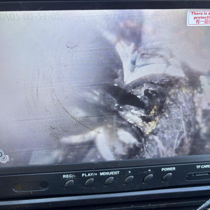 Sewer pipe with root intrusion and collapse damage