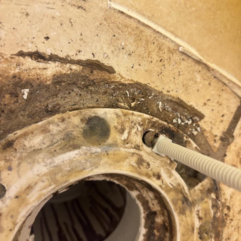 Toilet flange with extension installation for seal