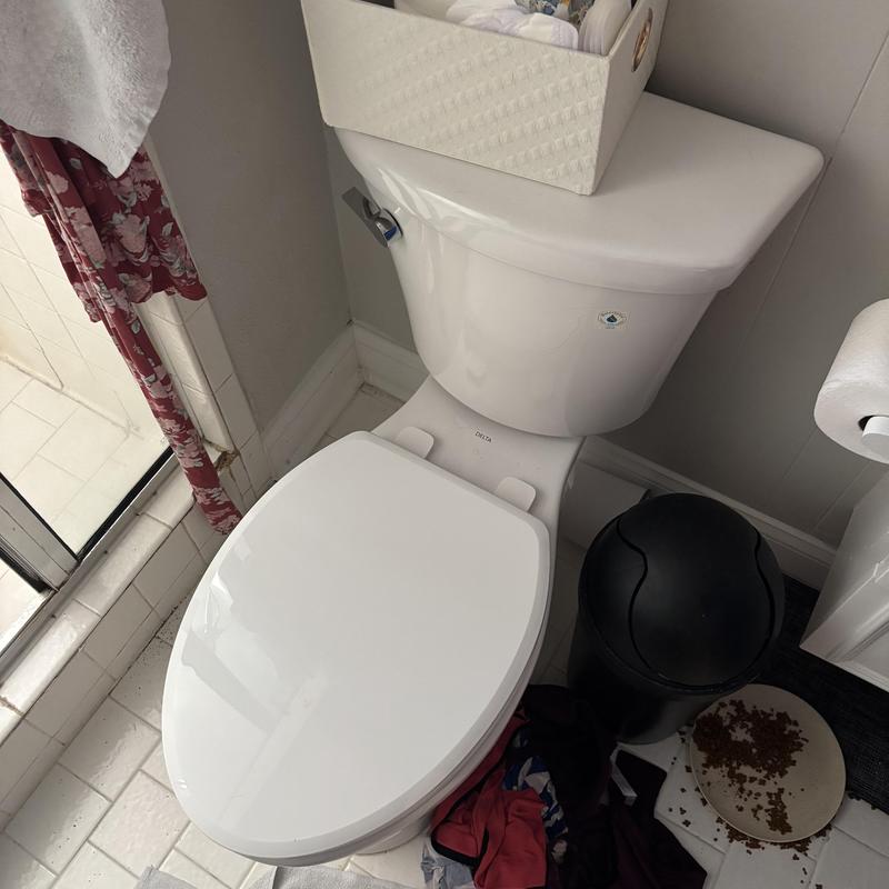 Toilet bowl with newly restored flushing system