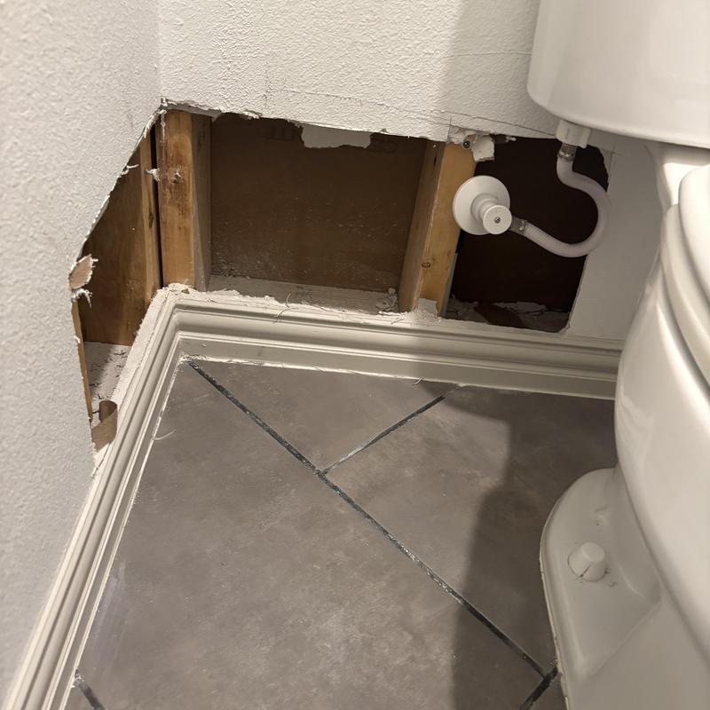Copper water supply line behind bathroom wall panel removed