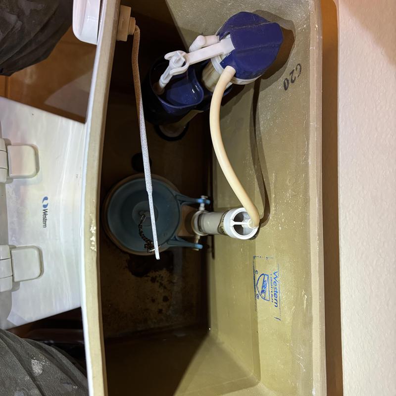 Toilet flapper and fill valve inside tank repair