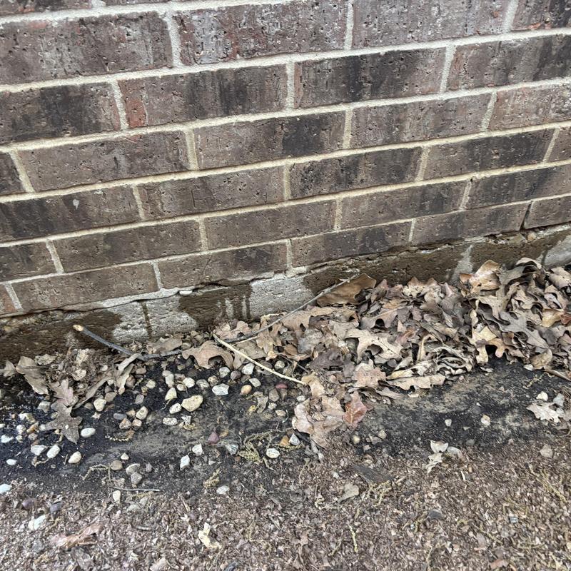 Brick foundation exterior with soil and dead leaves nearby