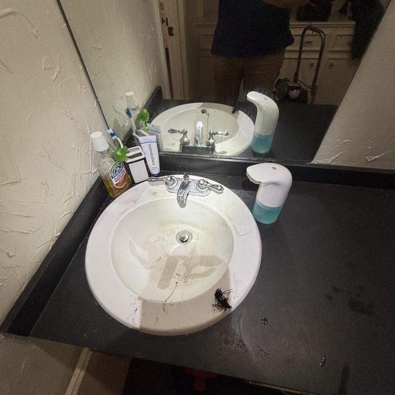 Bathroom sink drain with roots pulled out and tools nearby