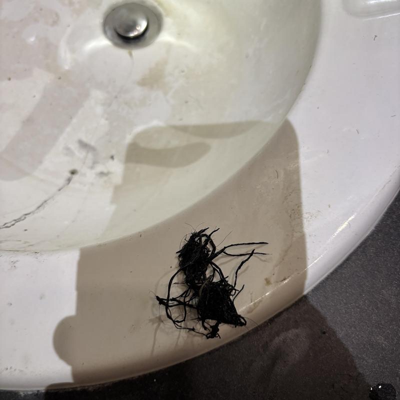 Bathroom sink drain with removed root clog debris