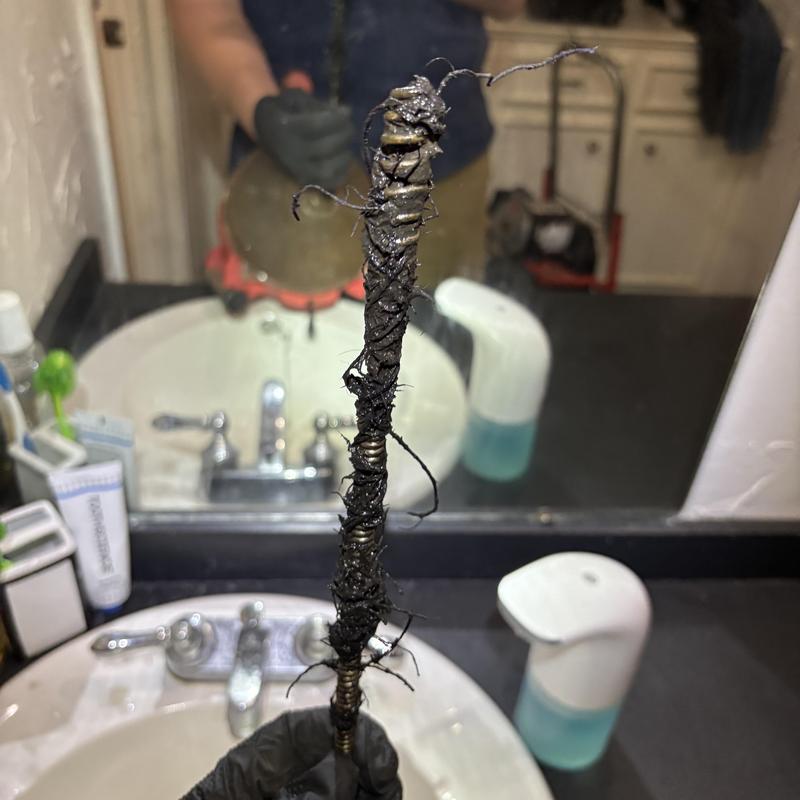 Bathroom sink sewer snake clogged with roots and debris
