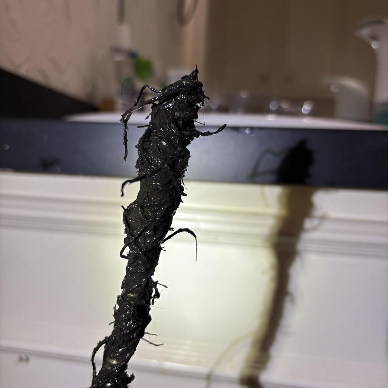 Bathroom sink sewer snake with pulled roots in Dallas