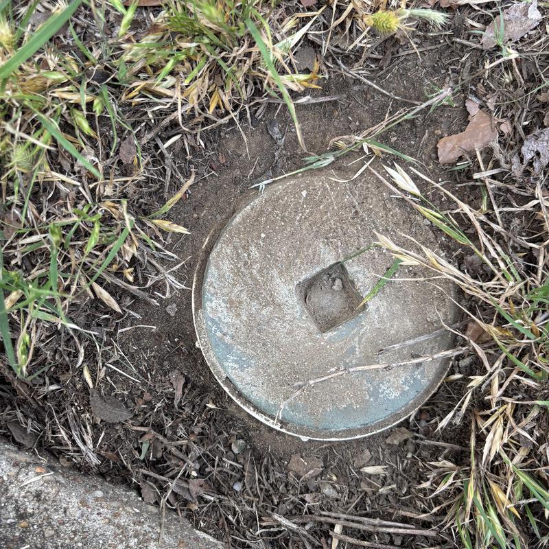 Main sewer cleanout cover surrounded by grass and dirt