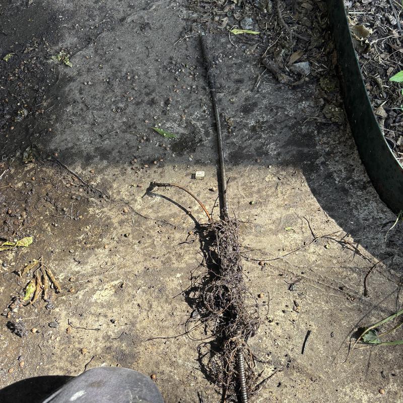 Main sewer line with removed root clog in Dallas Texas
