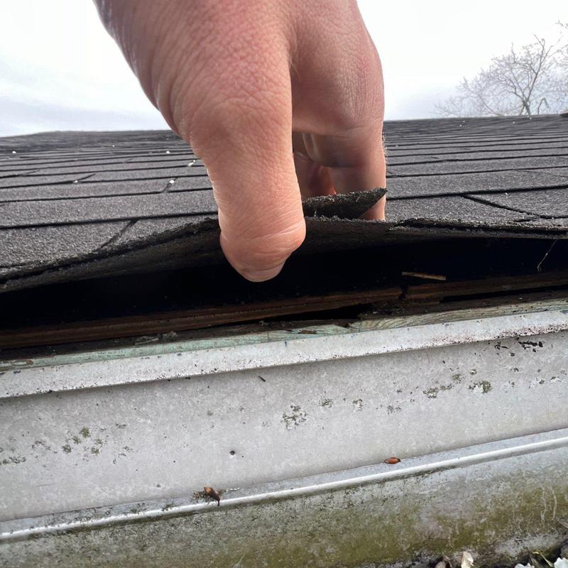 Asphalt roof shingles lifted showing damage near gutter
