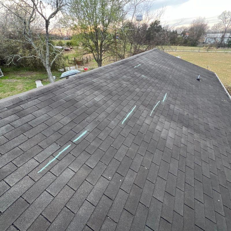 Asphalt roof shingles with marked bruising and uplift