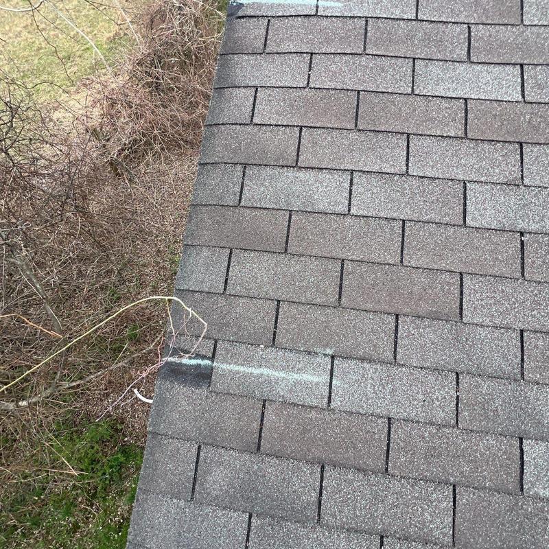 Roof shingles with bruising and uplift damage
