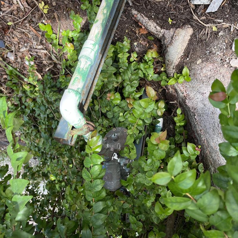 Backflow prevention device amid surrounding greenery