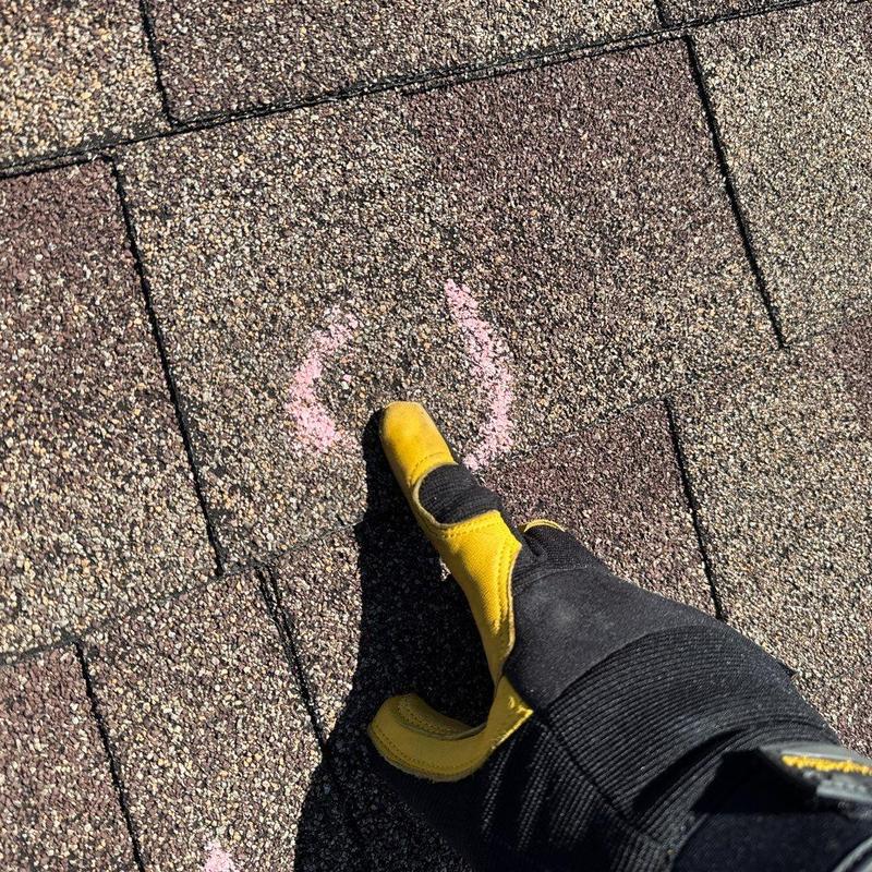 Asphalt shingle roof showing hail damage marked in chalk