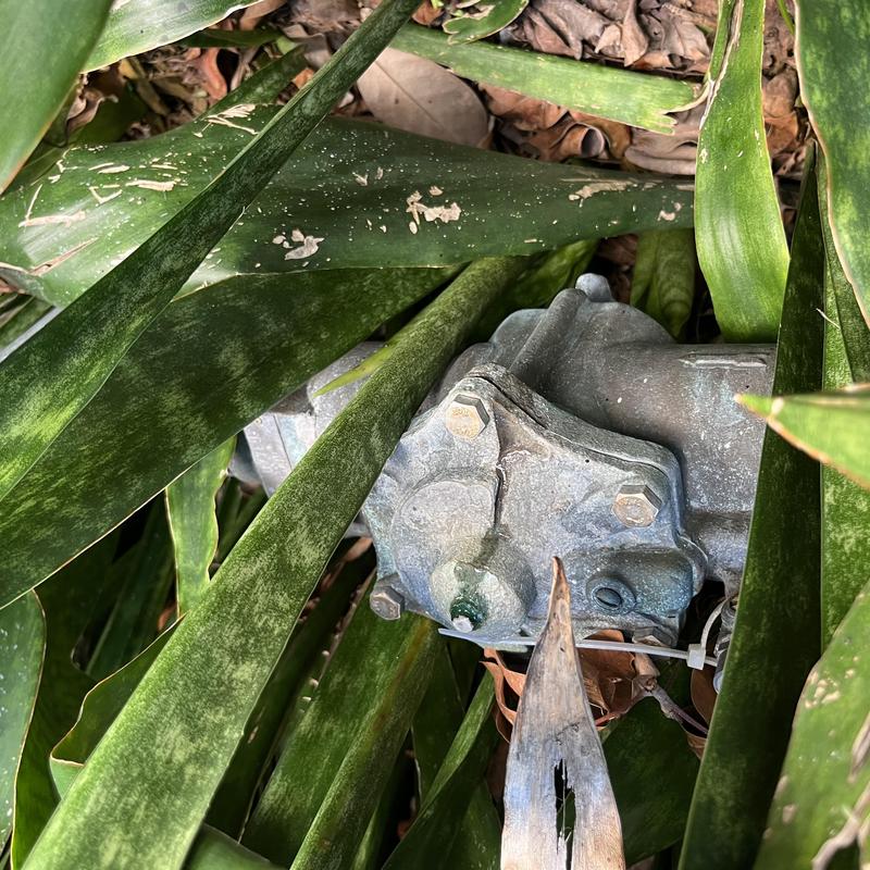 Backflow prevention device surrounded by plants outdoors