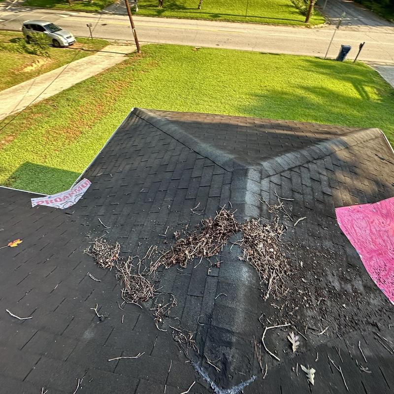 Asphalt shingle roof with debris and wear marks