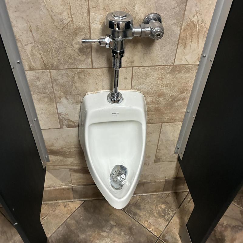 Urinal flushometer and porcelain fixture in restroom