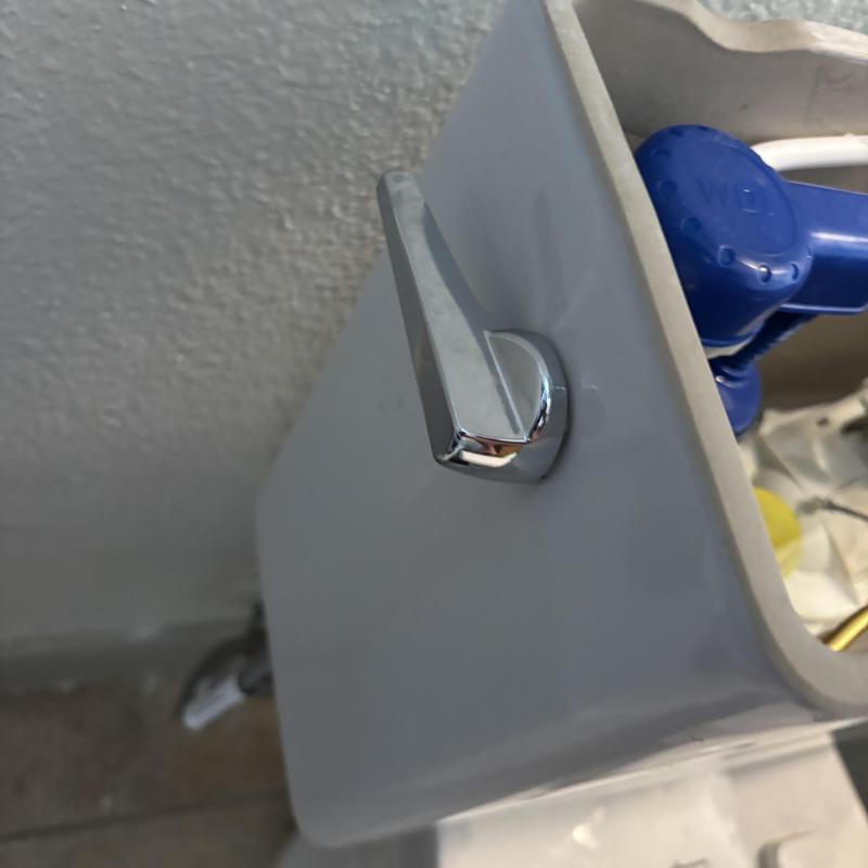 Toilet handle and chain inside tank in Frisco TX