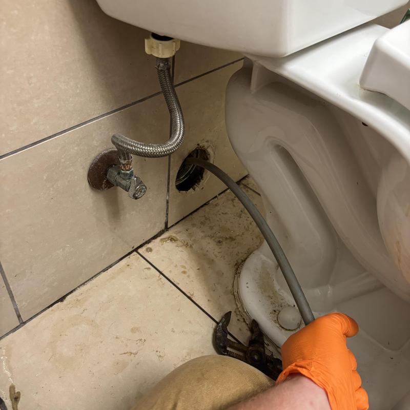 Toilet main sewer line with drain snake cleaning
