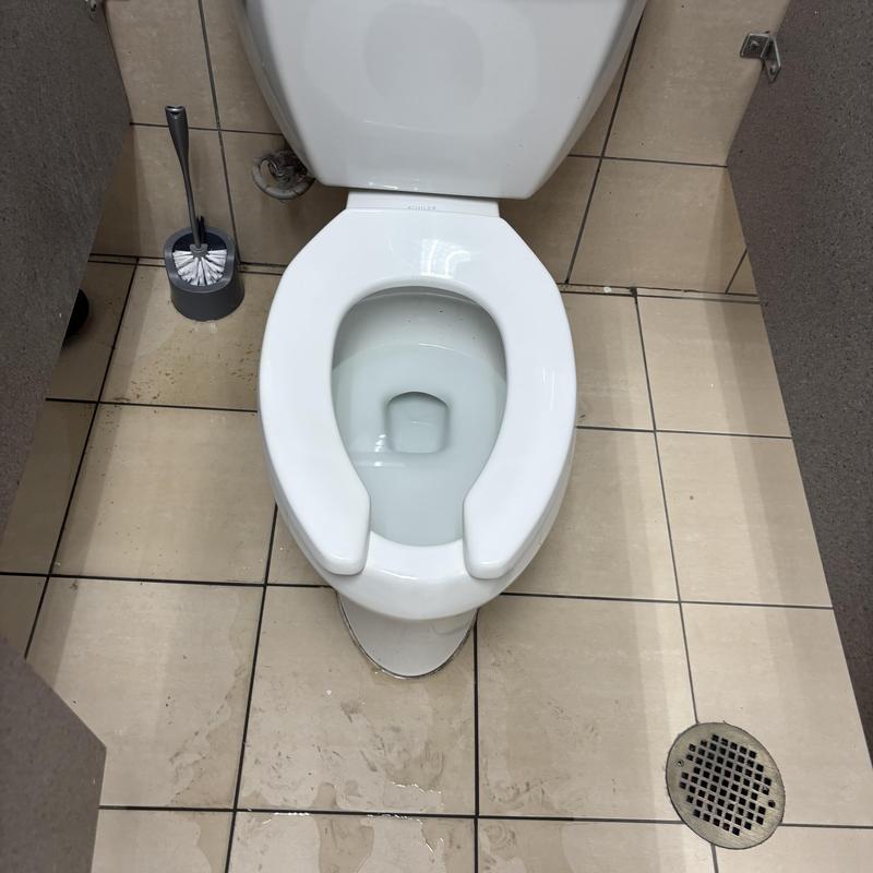 Commercial toilet bowl and floor drain in restroom stall