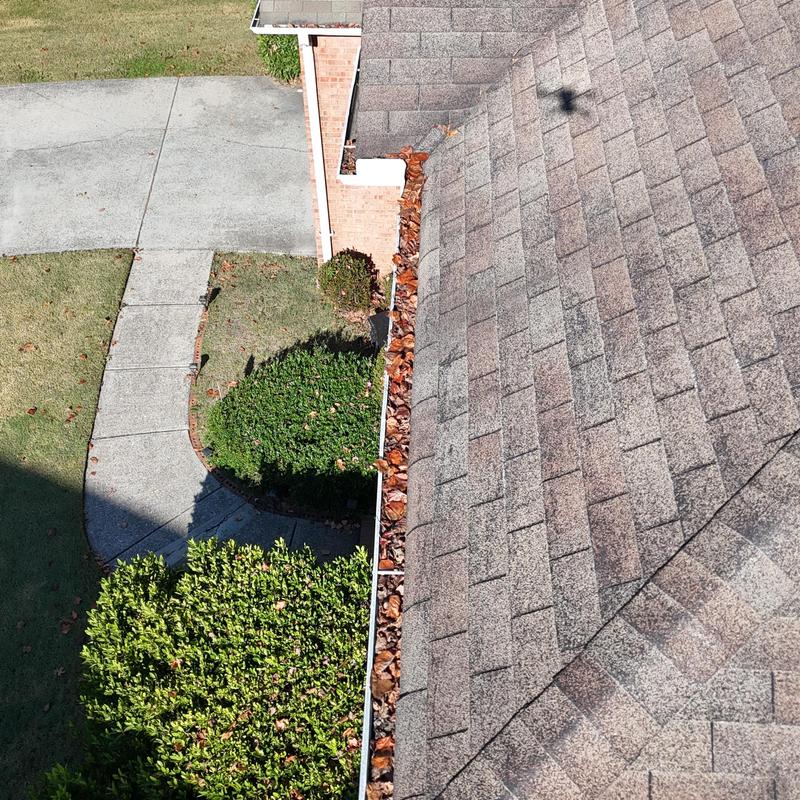 Gutter filled with leaves on asphalt shingle roof