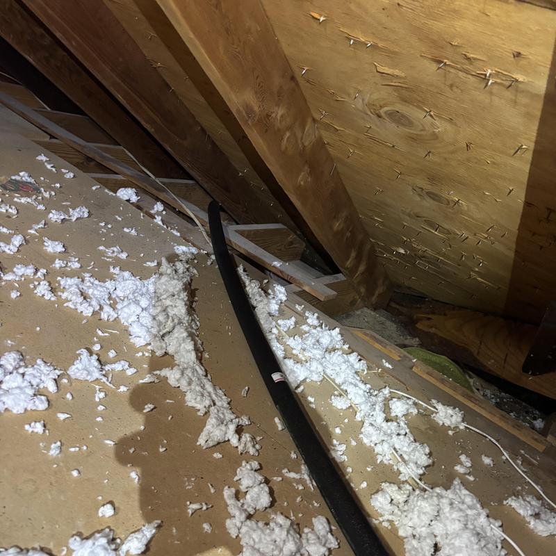 Pex water line routed through attic with insulation debris