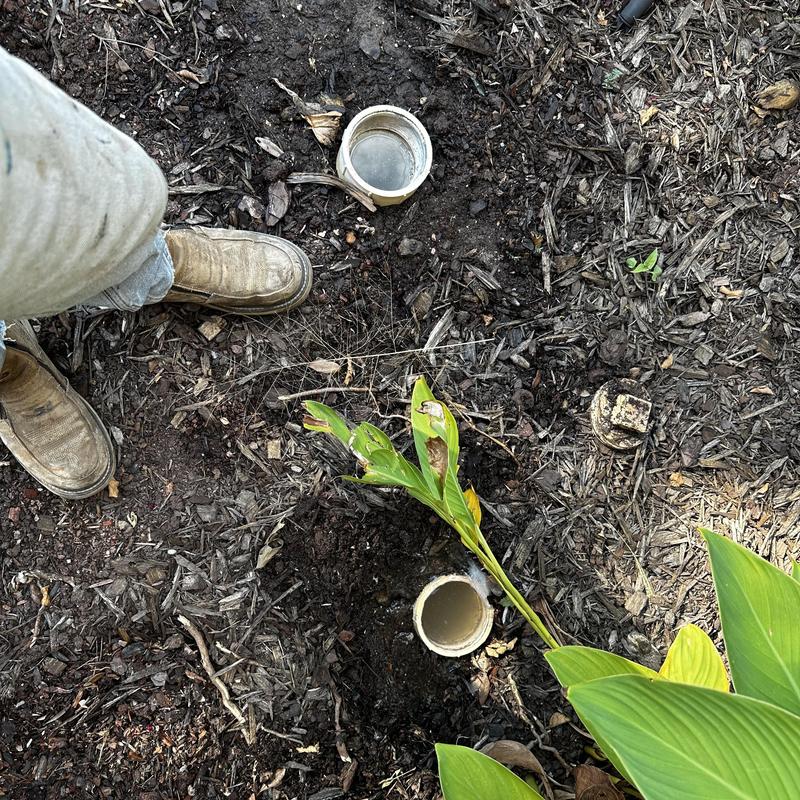 Main sewer line cleanout access in garden bed