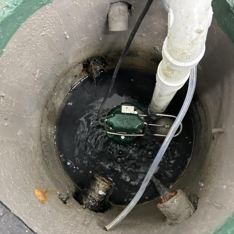 Primary sump pump with float switch and discharge pipe