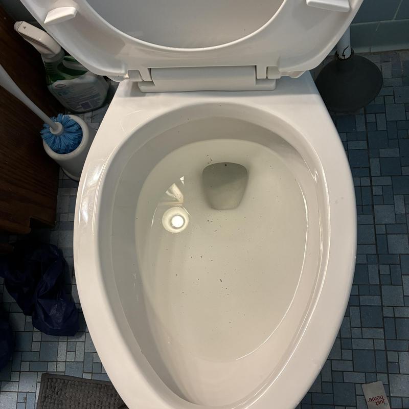 Toilet bowl with clear water after unclogging