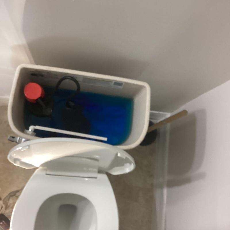 Toilet tank with rebuilt components and new supply line