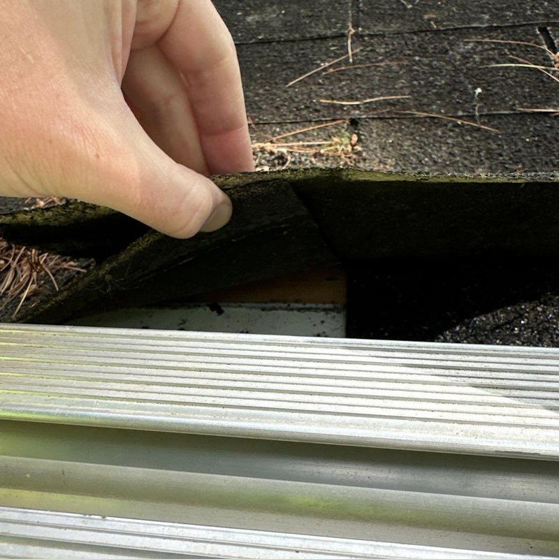 Asphalt roof shingle lifted for inspection near ladder
