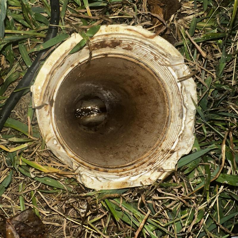 Main sewer line opening amid grass and debris